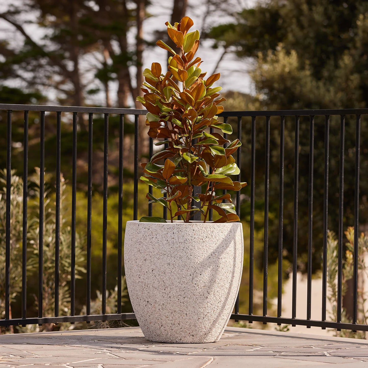 Montague Eggs Pots - White Pebble
