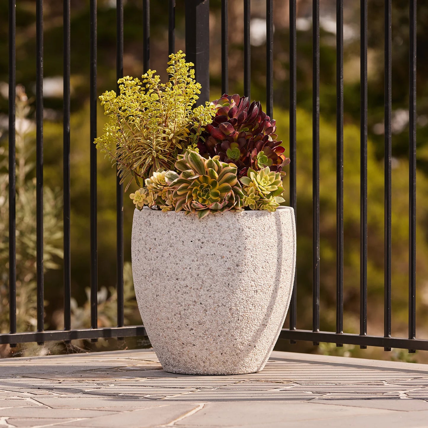 Montague Eggs Pots - White Pebble