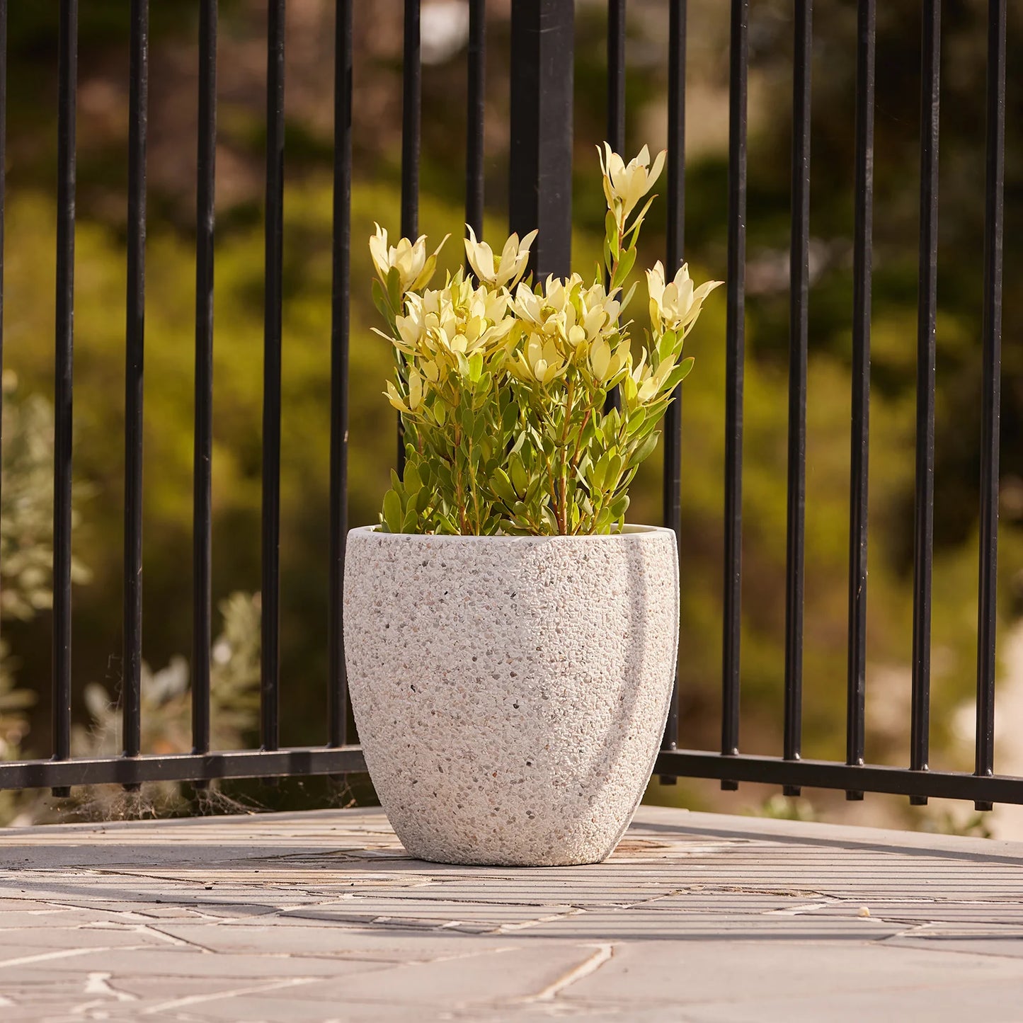 Montague Eggs Pots - White Pebble
