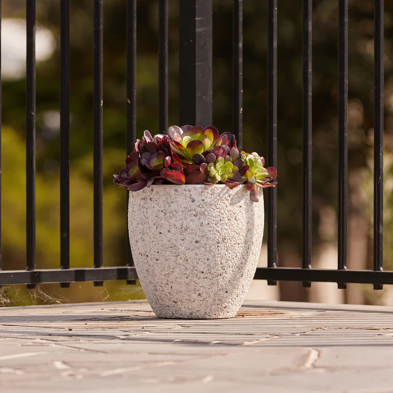 Montague Eggs Pots - White Pebble