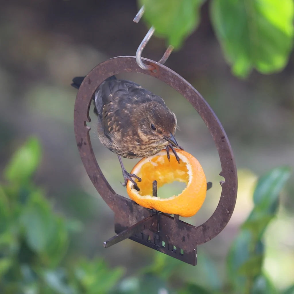 Metal Bird - Hanging Bird Feeder