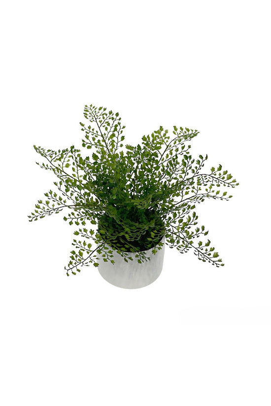 Potted Maidenhair Fern - Faux