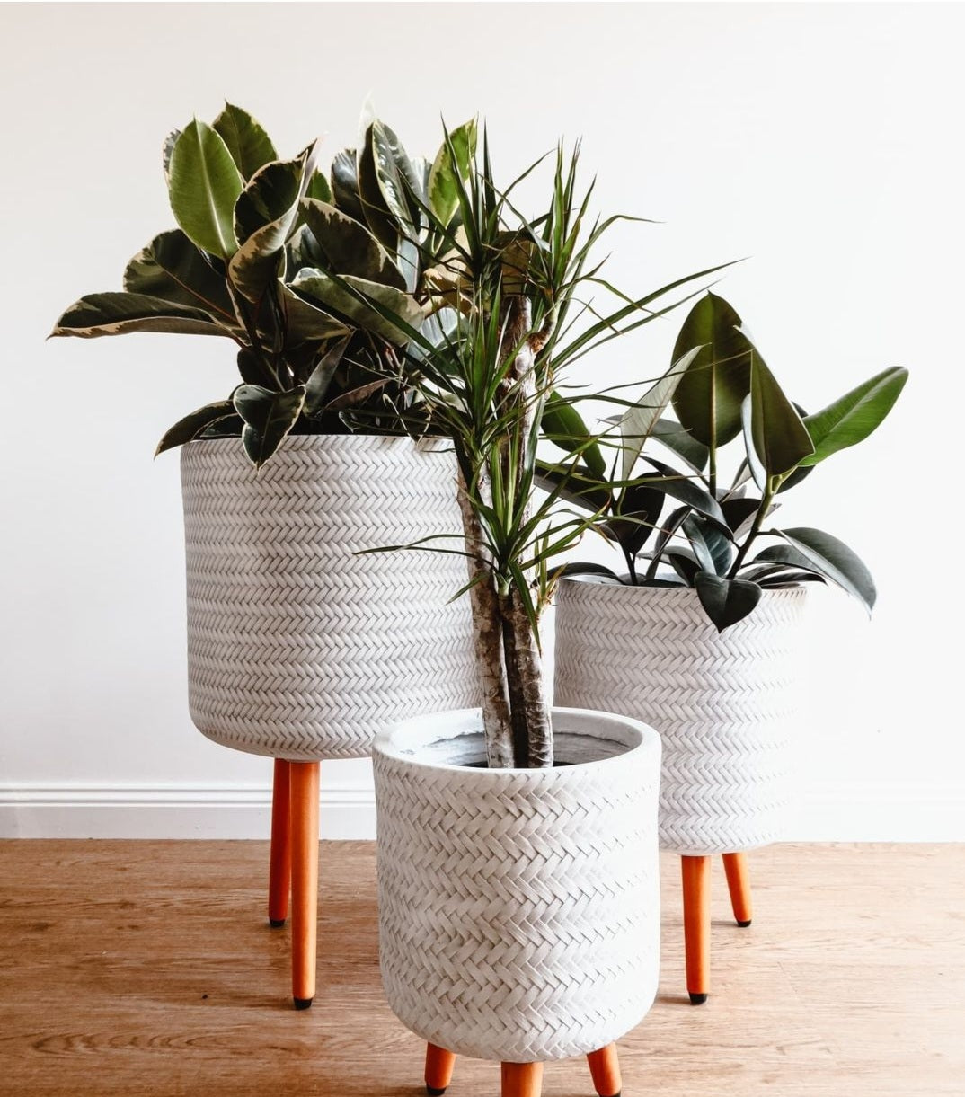 Bamboo Cement Planters on Stands