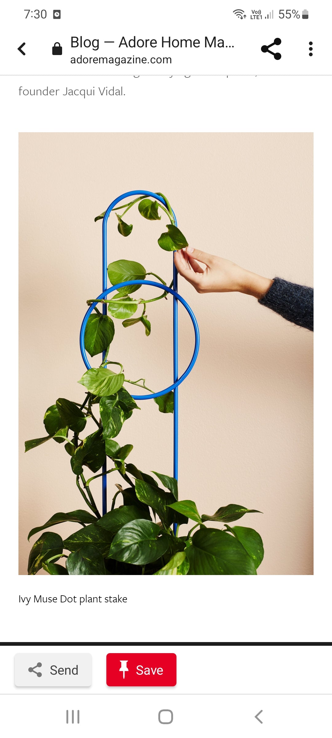 Plant Grow Frame - Circle 60cm