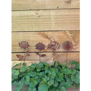 Garden Stake - Agapanthus 37cm