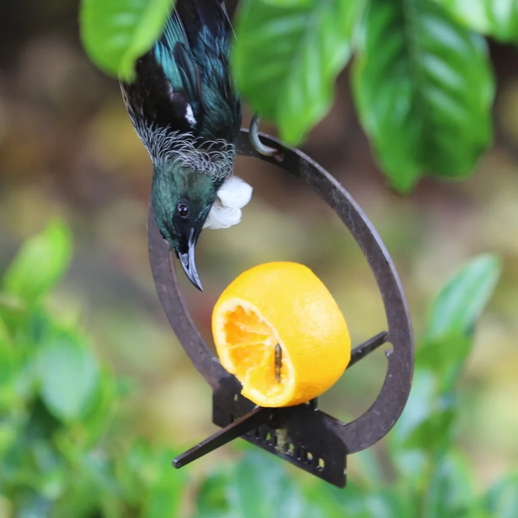 Metal Bird - Hanging Bird Feeder