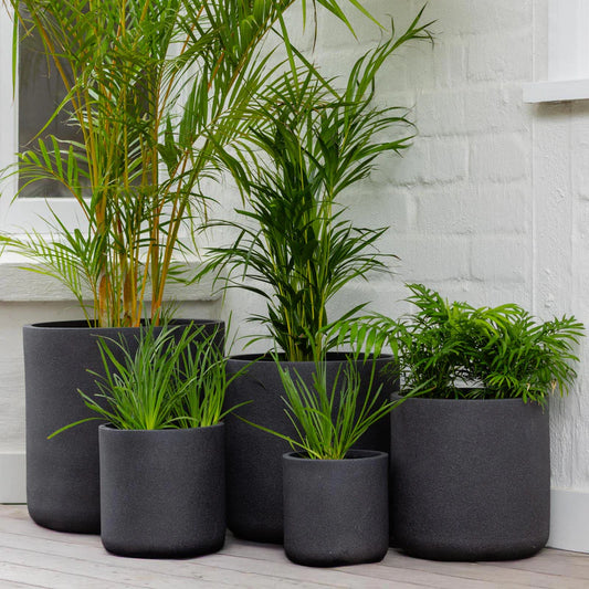 Vellum Cylinder Pots - Black