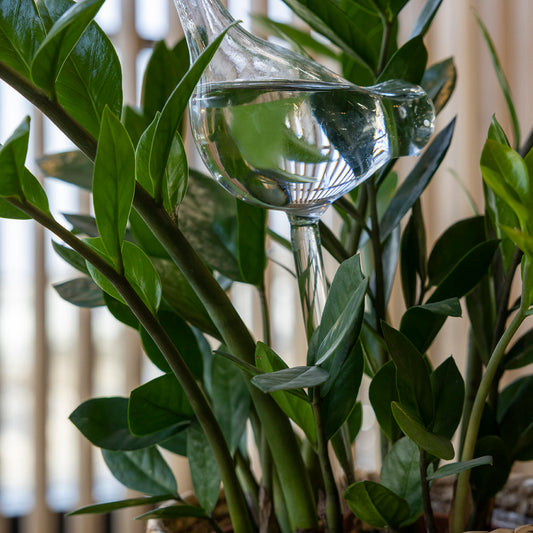 Plant Watering Glass Bird