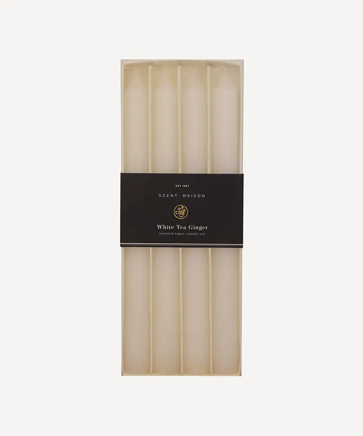 Maison Taper Candles - White Tea Ginger (4PC)