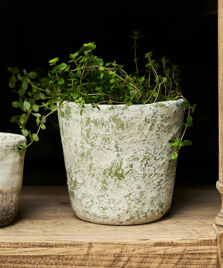 Verde Planters - 3 Sizes Available