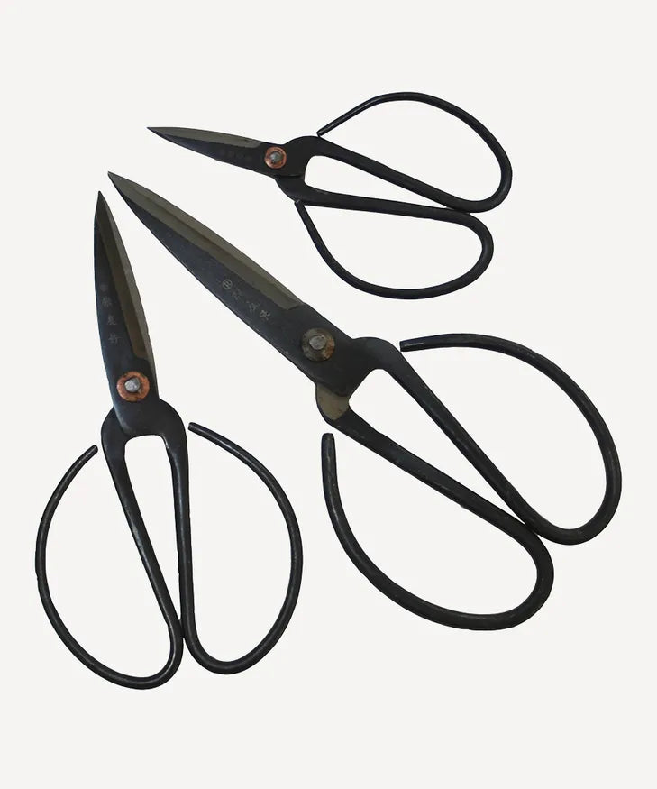 Herb Scissors - Set of Three