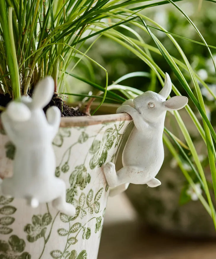 Gift boxed Set of 4 Bunnies - Pot Decor White