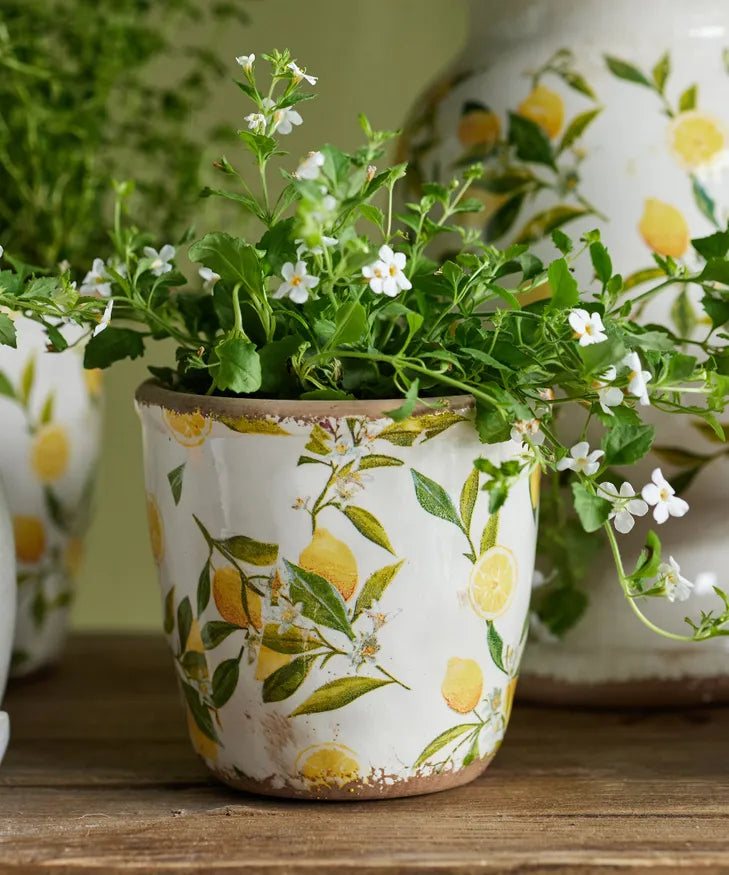 Botanical Lemon Garden Pot - Small