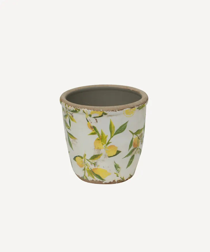 Botanical Lemon Garden Pot - Small