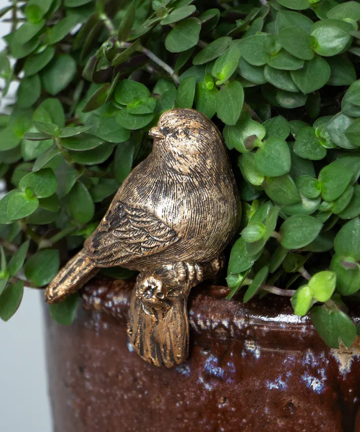 Bird Pot Rim Ornament - Tail Down