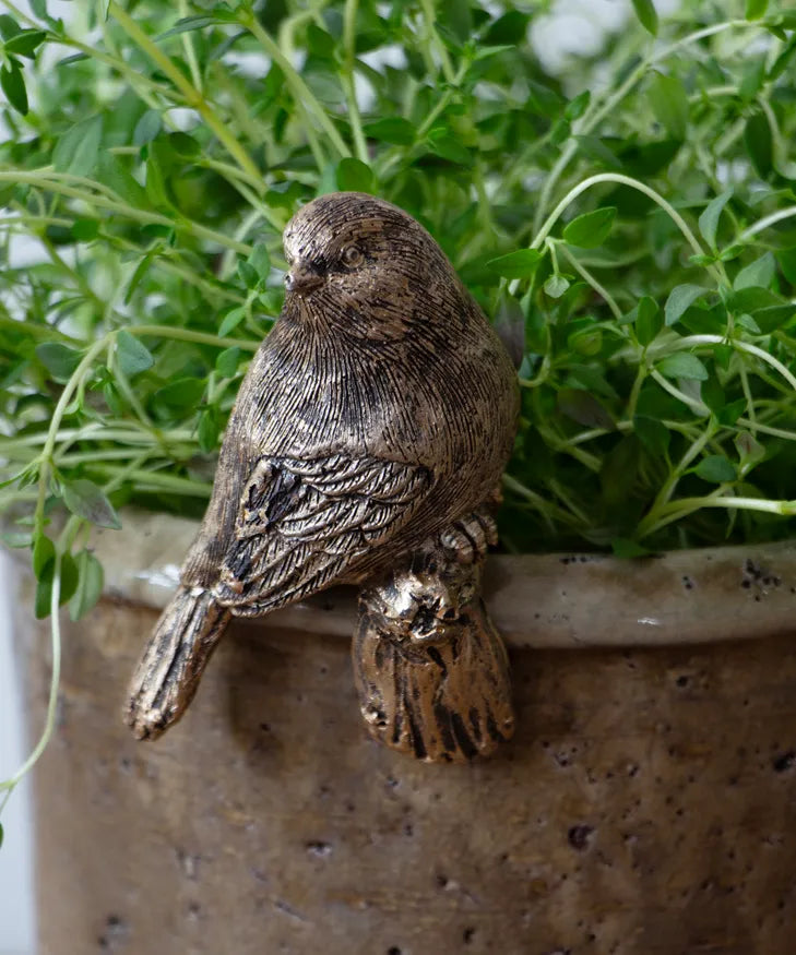 Bird Pot Rim Ornament - Tail Down