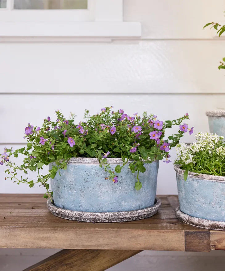 Sea Blue Bowl Pot and Saucer - Small