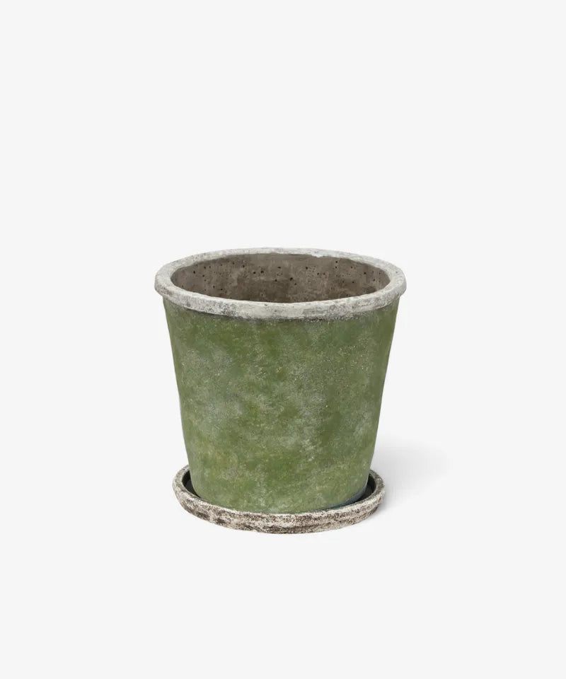 Evergreen Pot with Saucer - Large