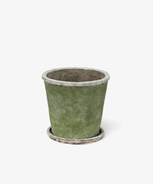 Evergreen Pot with Saucer - Large