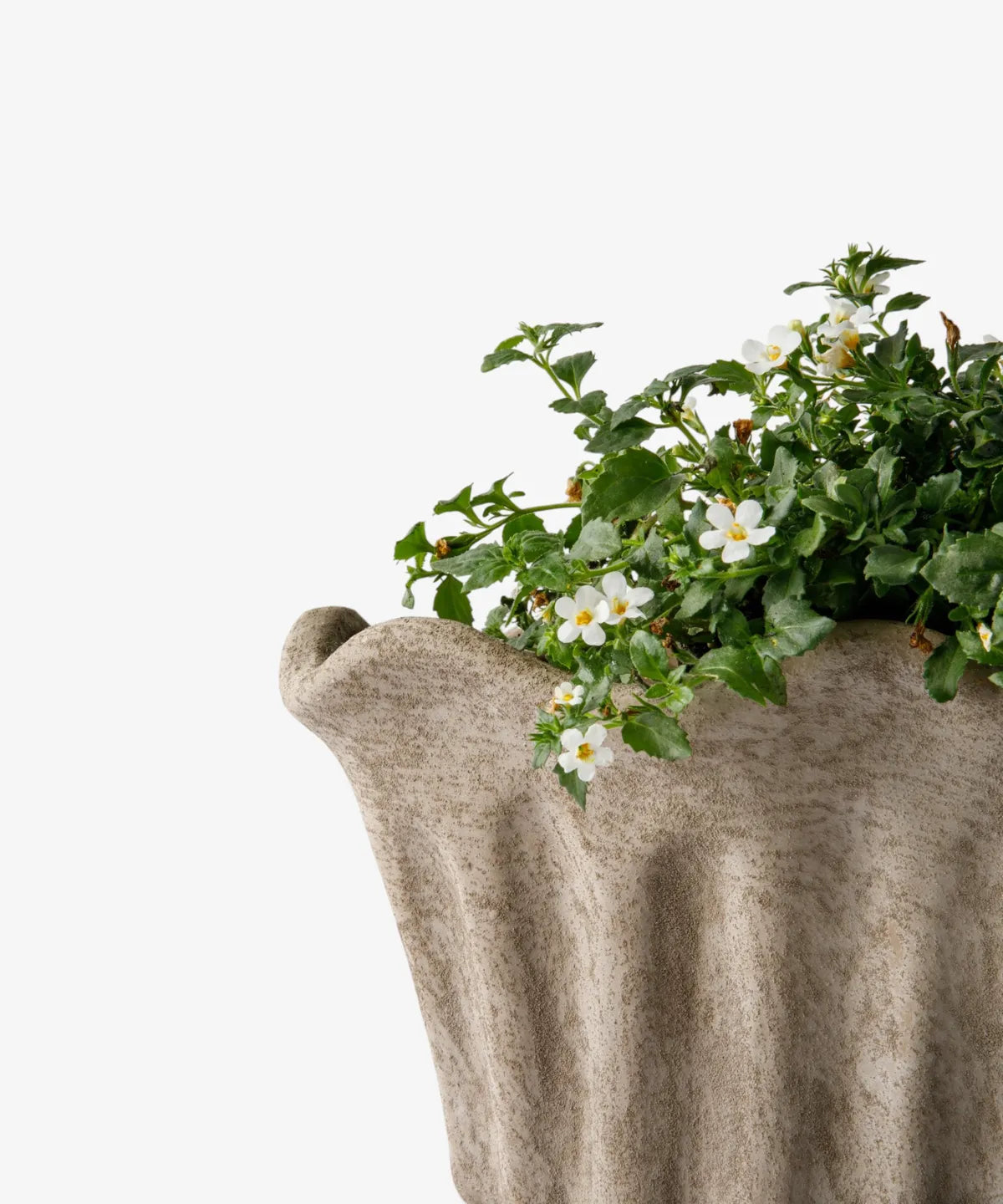 Terra Oval Trough Planters