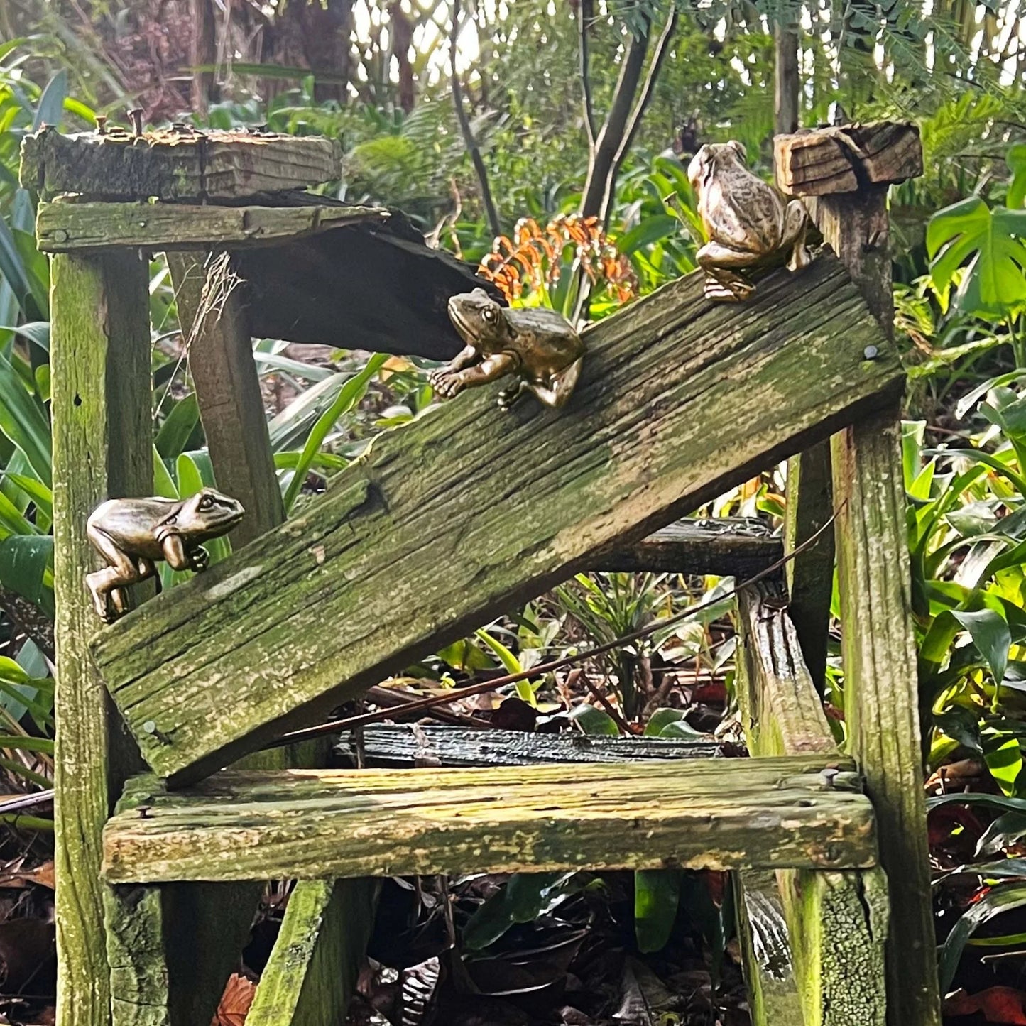 Hanging Frog Pot Decor (Laying)