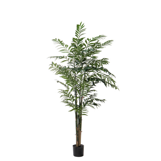 Faux Deluxe Bamboo Palm 183cm