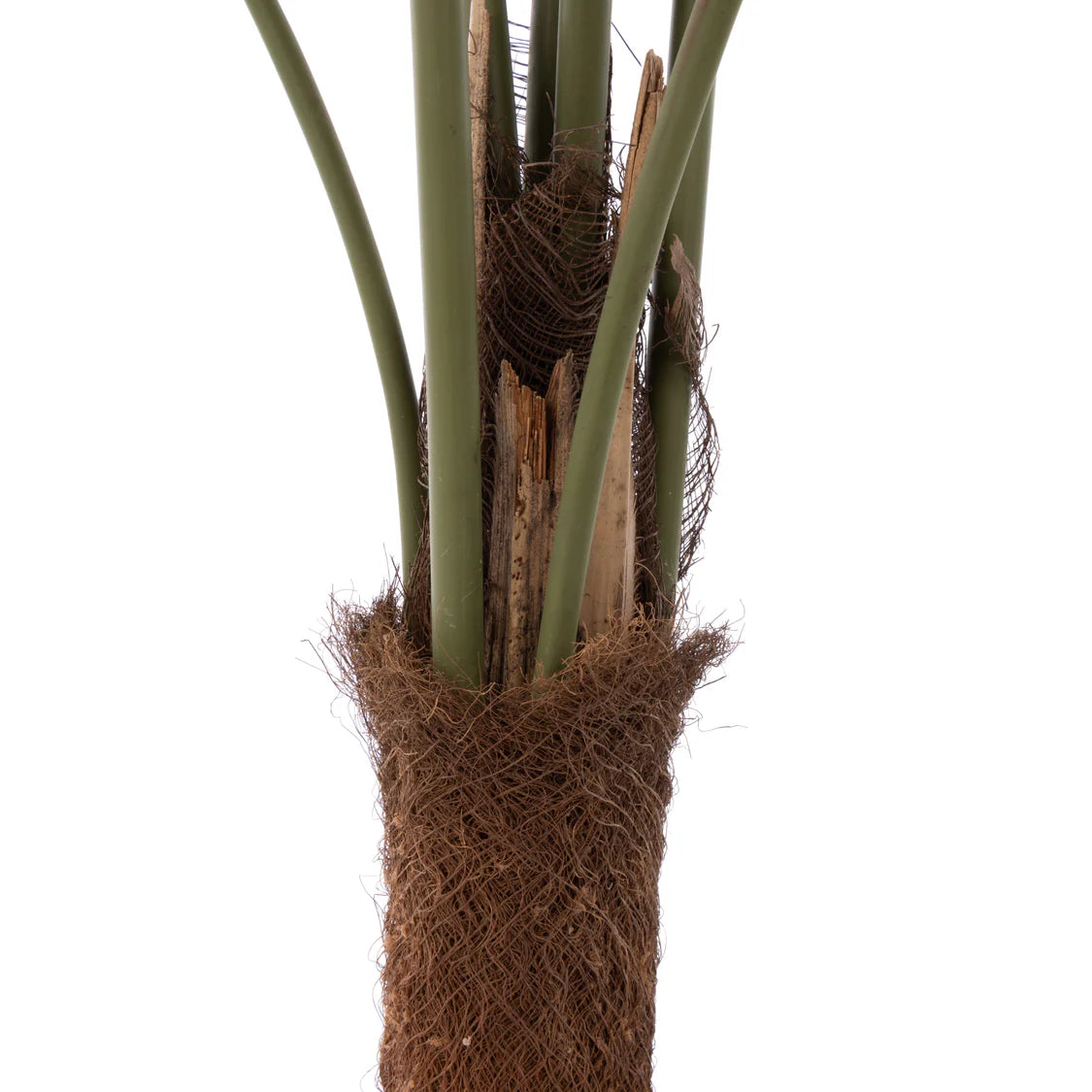 Faux Caryota Palm Tree - Garden Pot Green