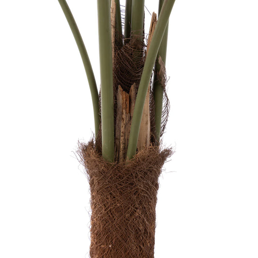 Faux Caryota Palm Tree - Garden Pot Green