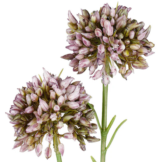 Faux Mini Allium Lavender 46cm