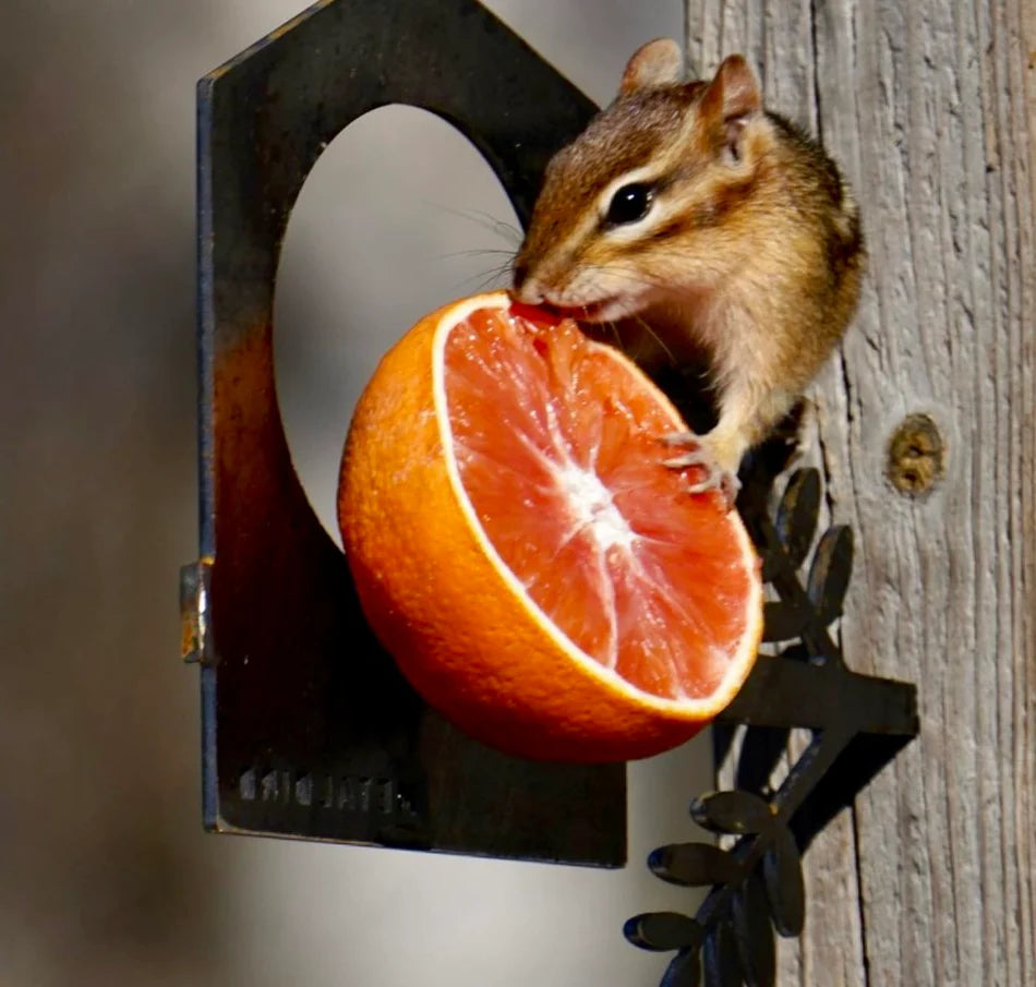 Metal Bird - Bird Feeder Stake