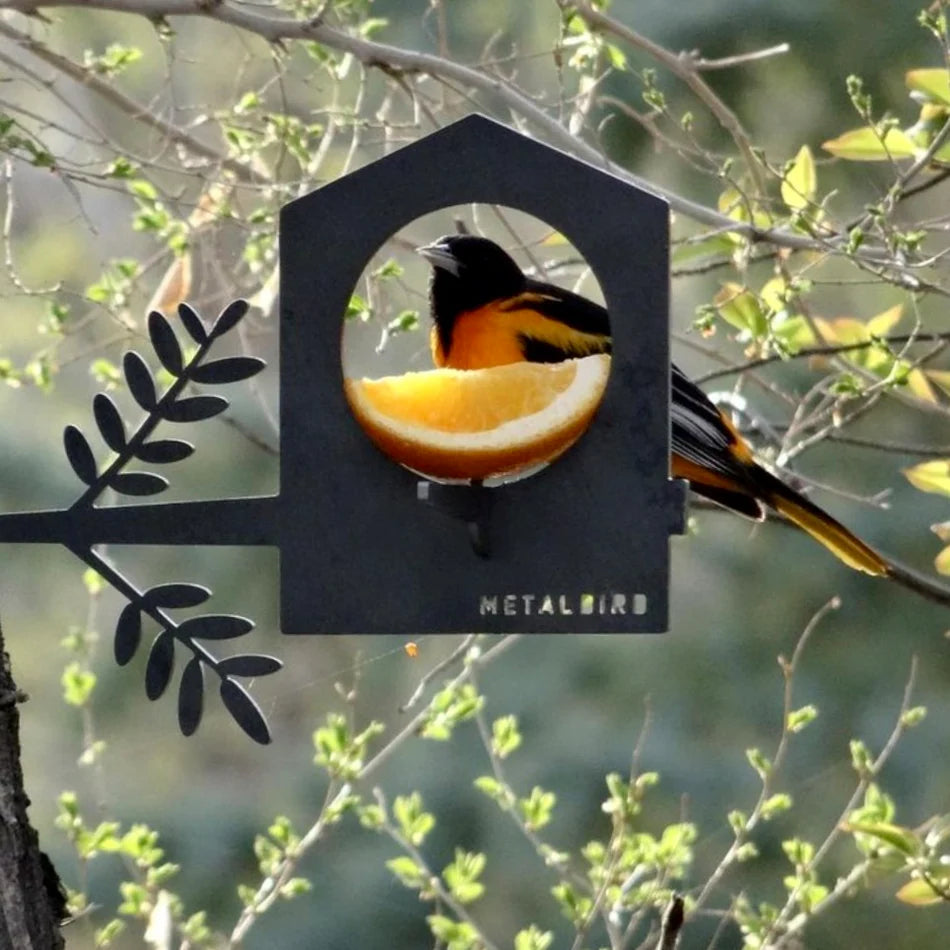 Metal Bird - Bird Feeder Stake