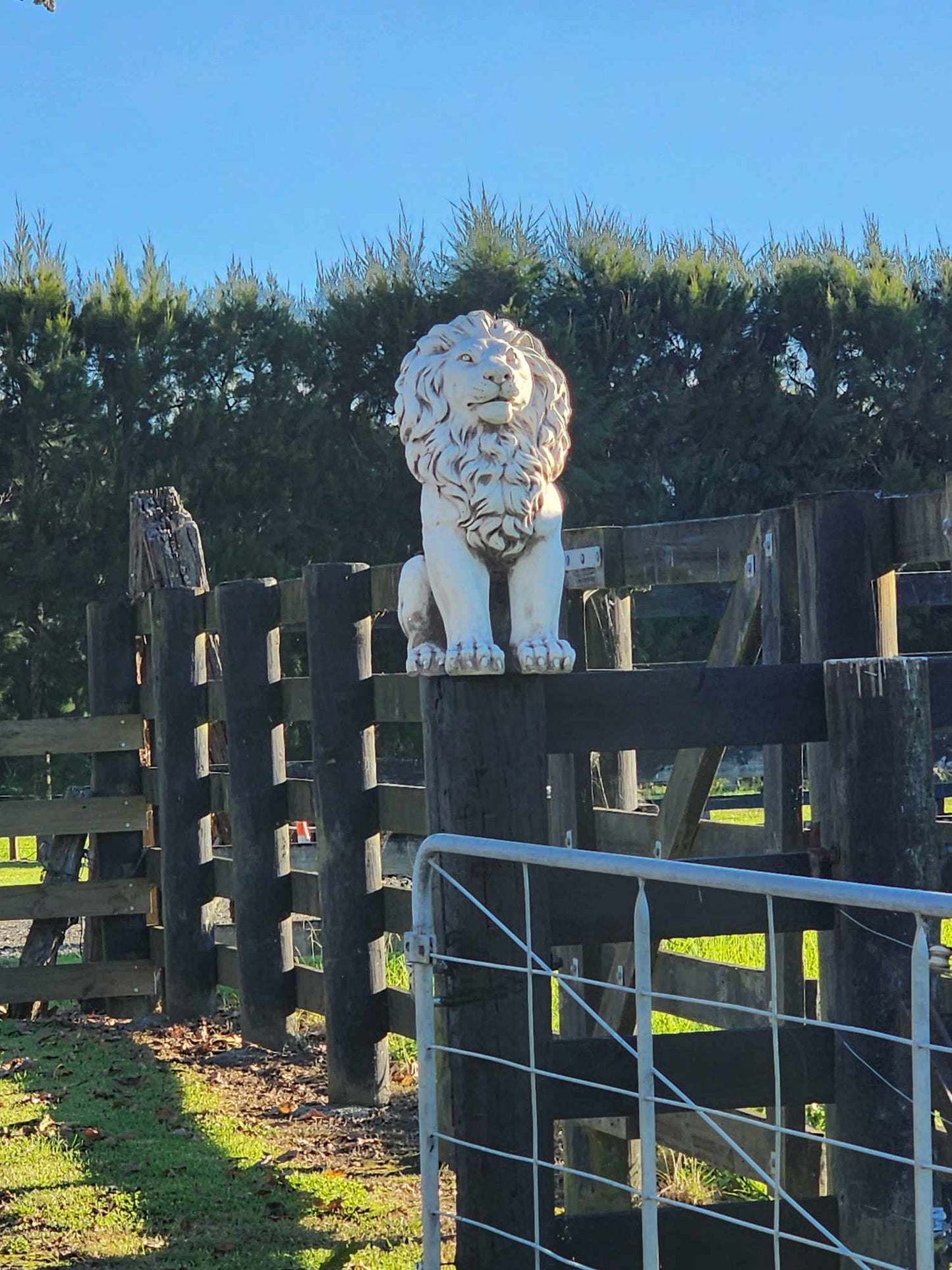Lion Garden Statue