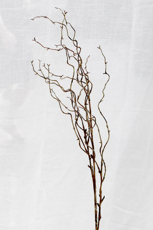 Willow Branch - Brown 1m