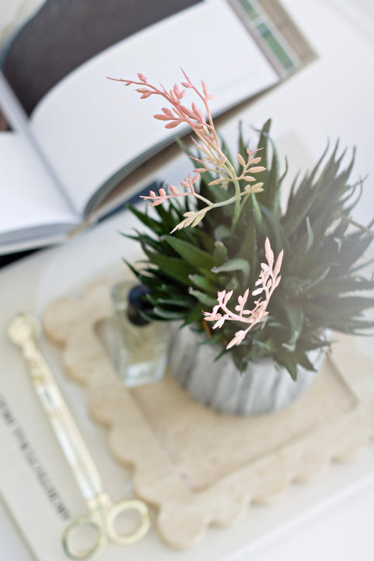 Faux Potted Haworthia 35cm