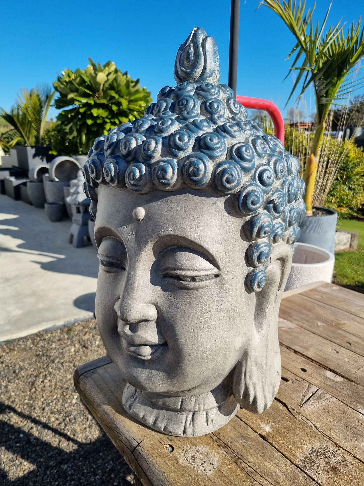 Serenity Buddha Head
