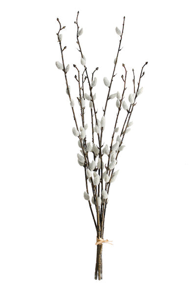 Pussy Willow Bundle 3x  55cm