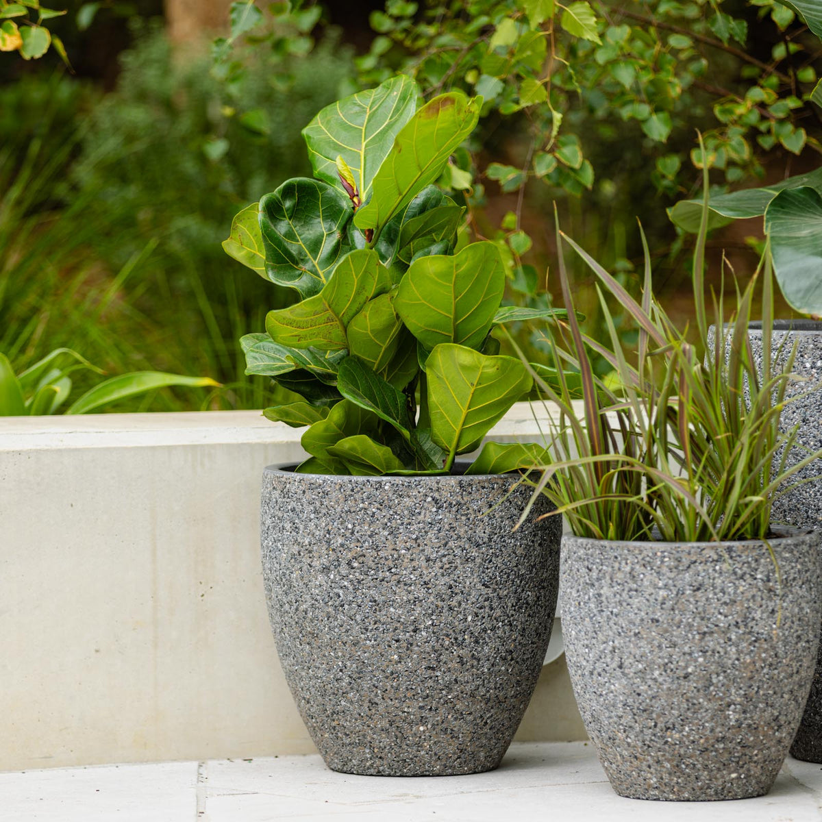 Montague Eggs Pots - Dark Grey Pebble