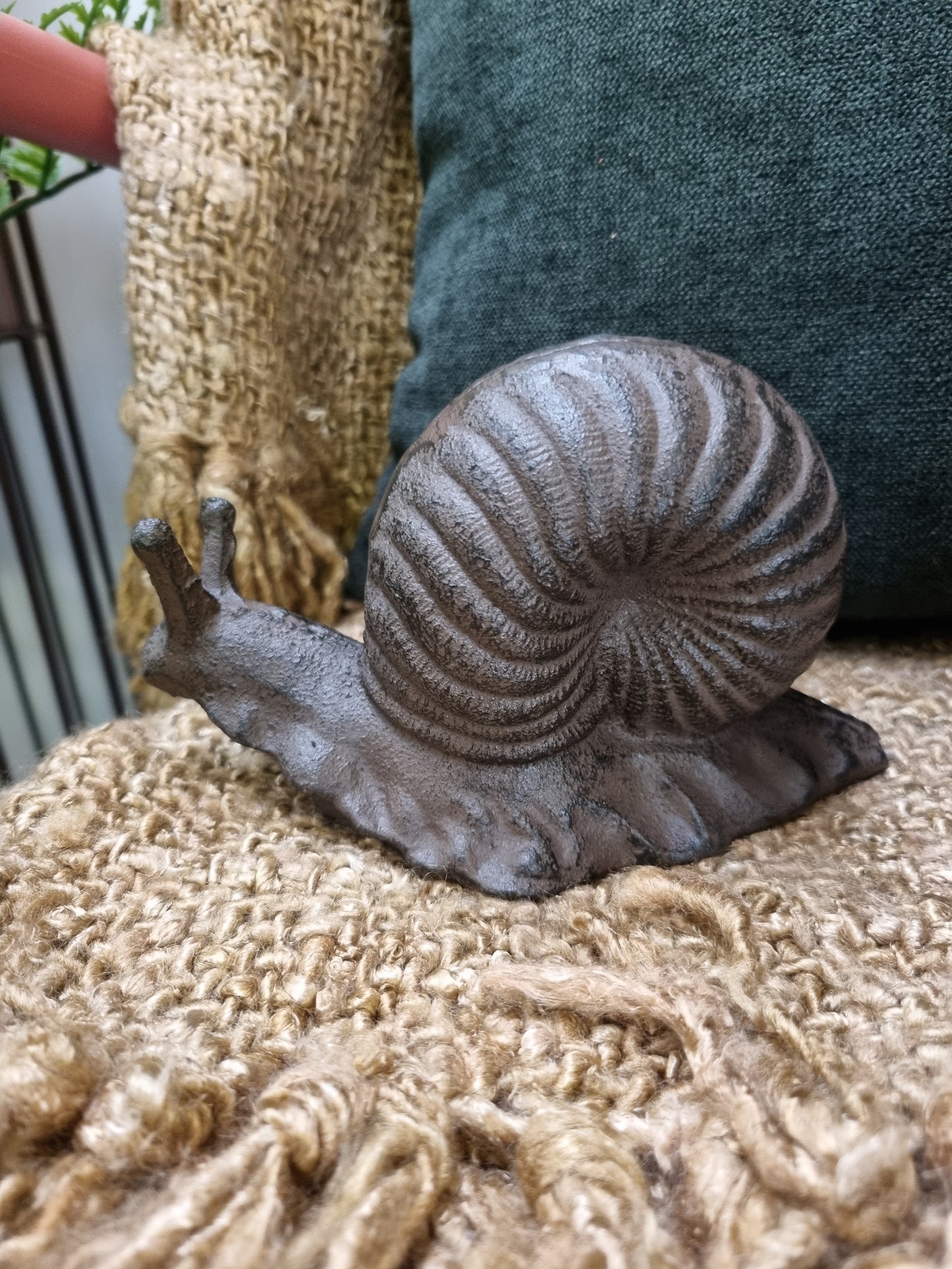Sheldon the Snail