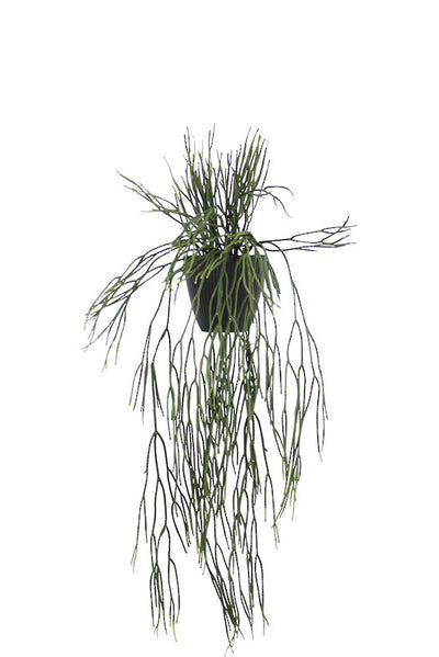 Faux Potted Hanging Rhipsalis 76cm