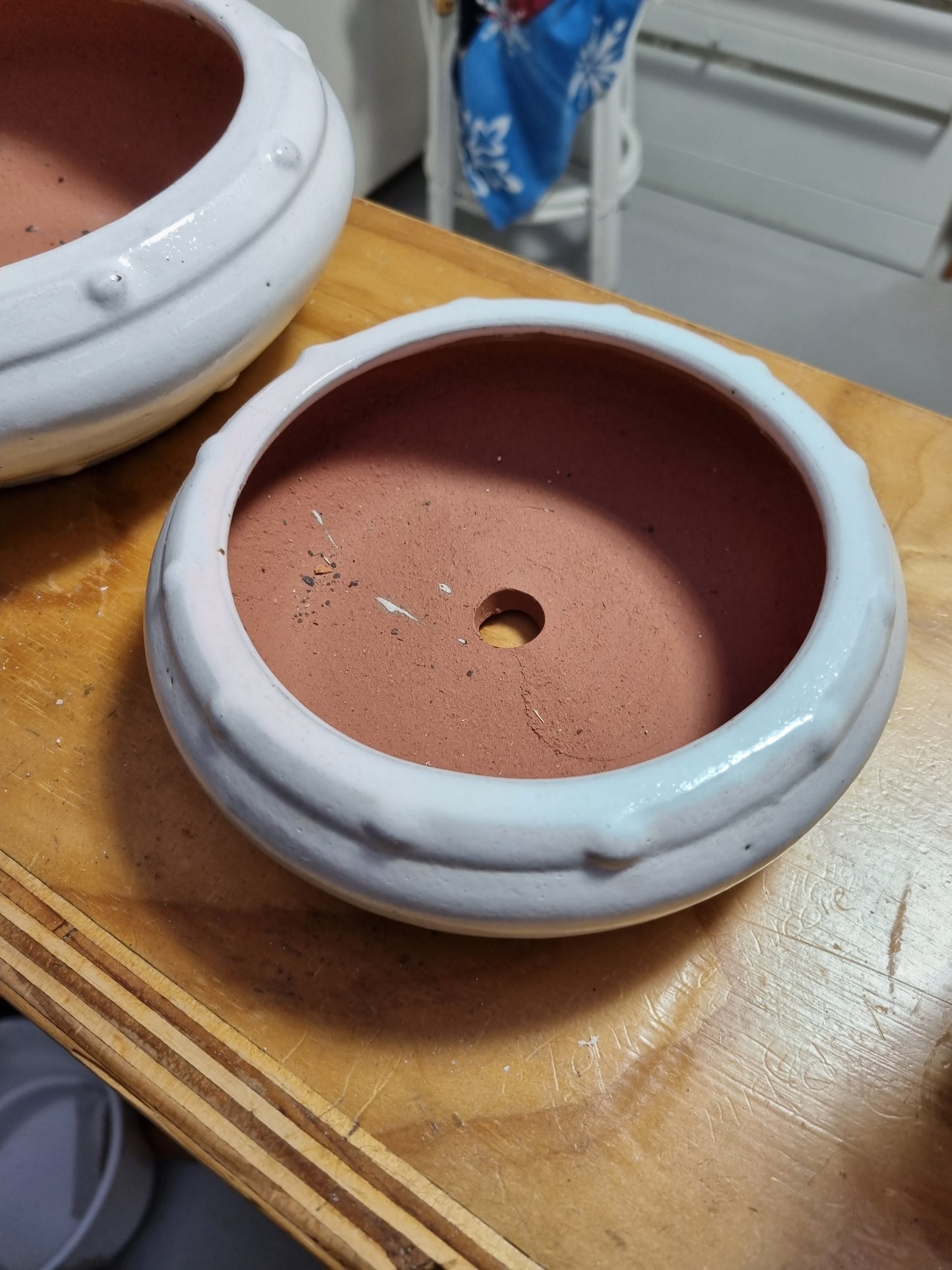 White Studded Bonsai Pots
