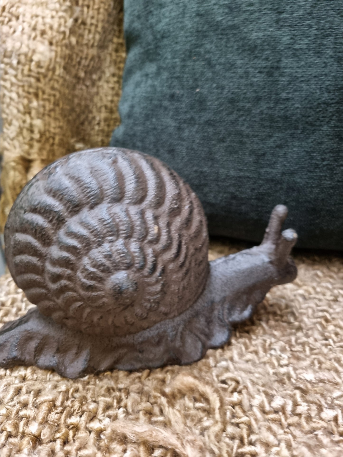 Sheldon the Snail