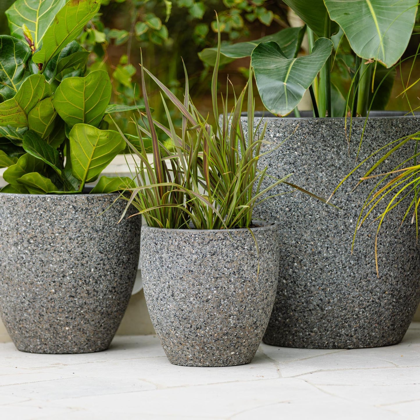 Montague Eggs Pots - Dark Grey Pebble