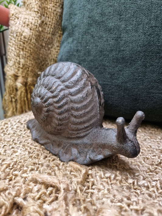 Sheldon the Snail