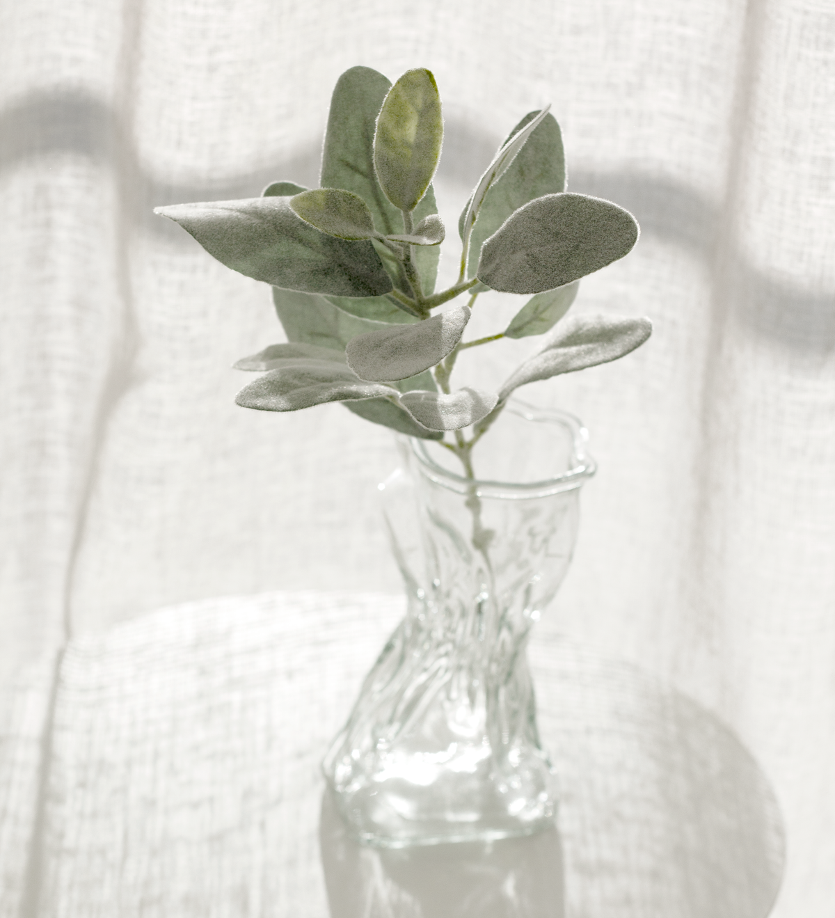 Faux Lambs Ears Short Stem