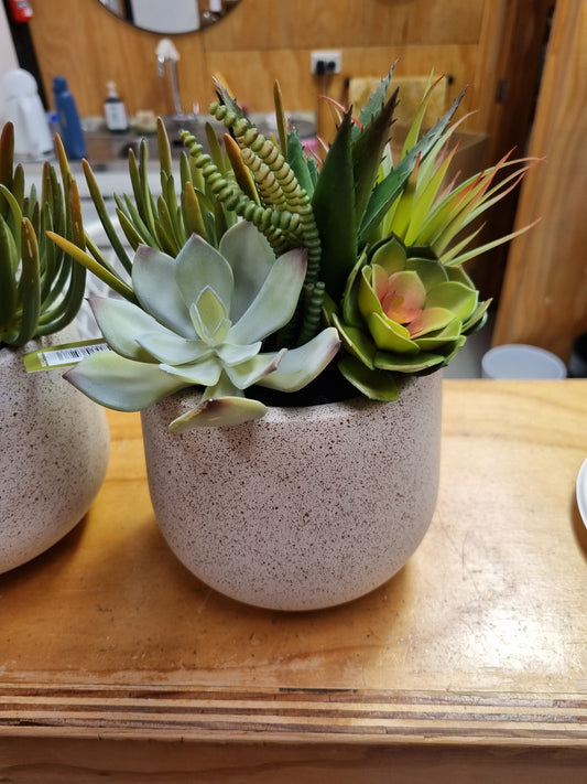 Faux Potted Aloe and Succulent Arrangement 26cm
