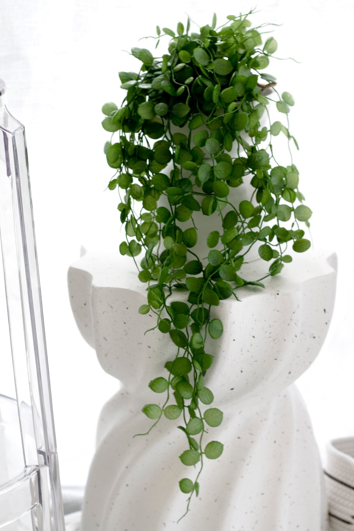 Faux Potted Saxifraga Veitchii – Trailing Faux Plant 74cm