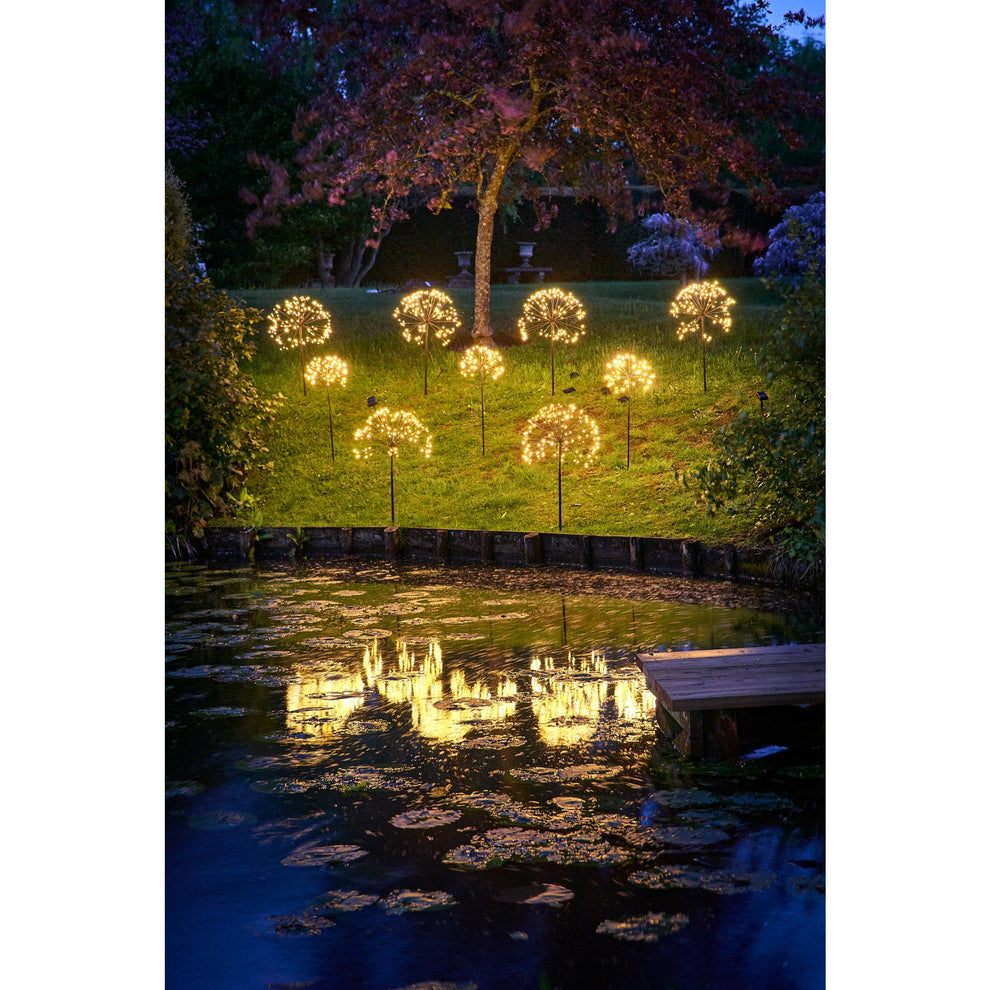Lumina of London - Solar Dandelion