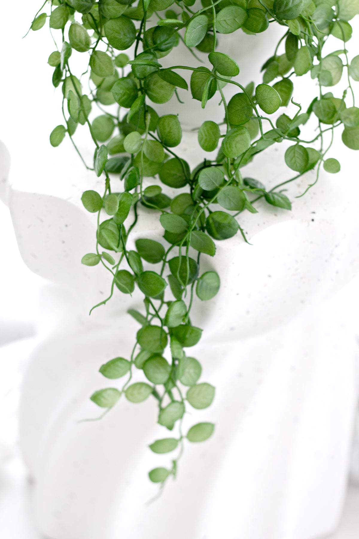 Faux Potted Saxifraga Veitchii – Trailing Faux Plant 74cm