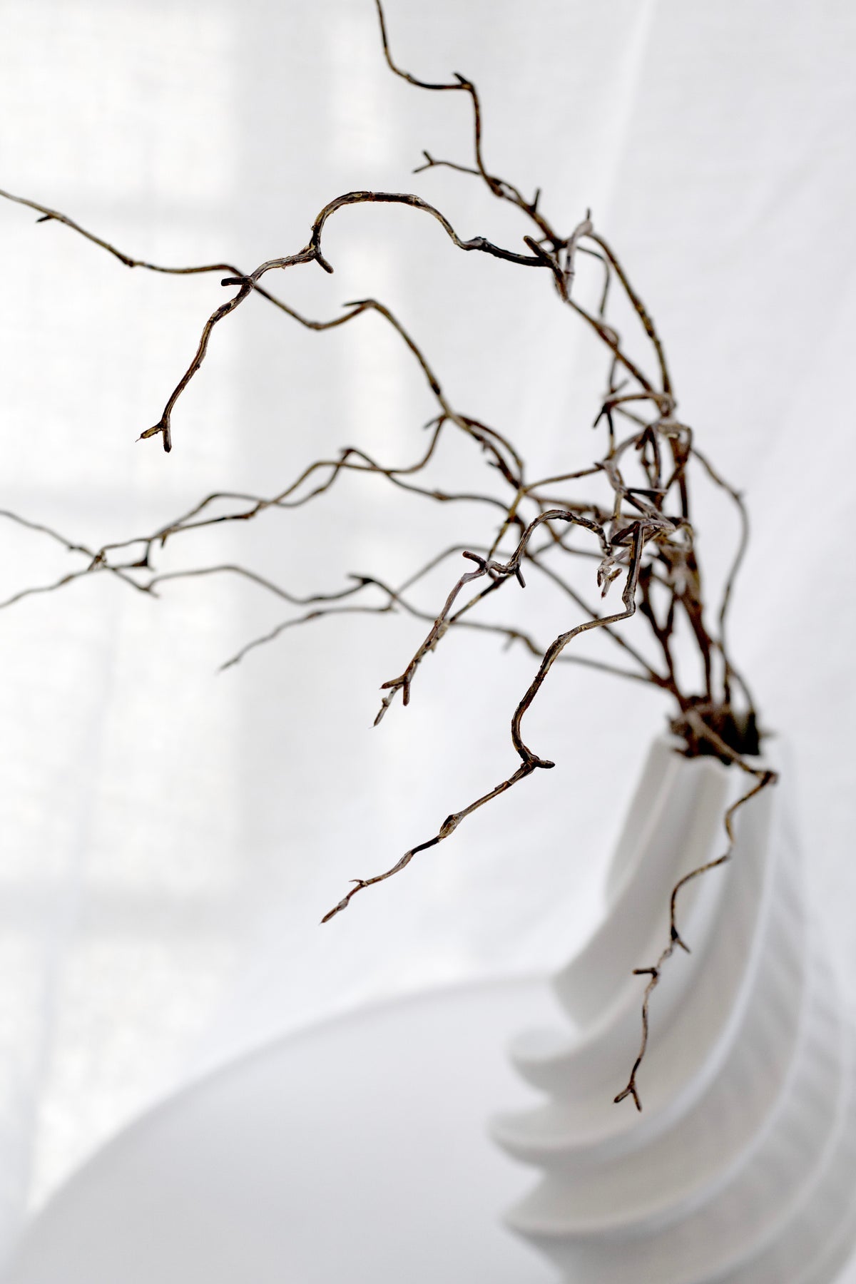 Willow Branch - Brown 1m