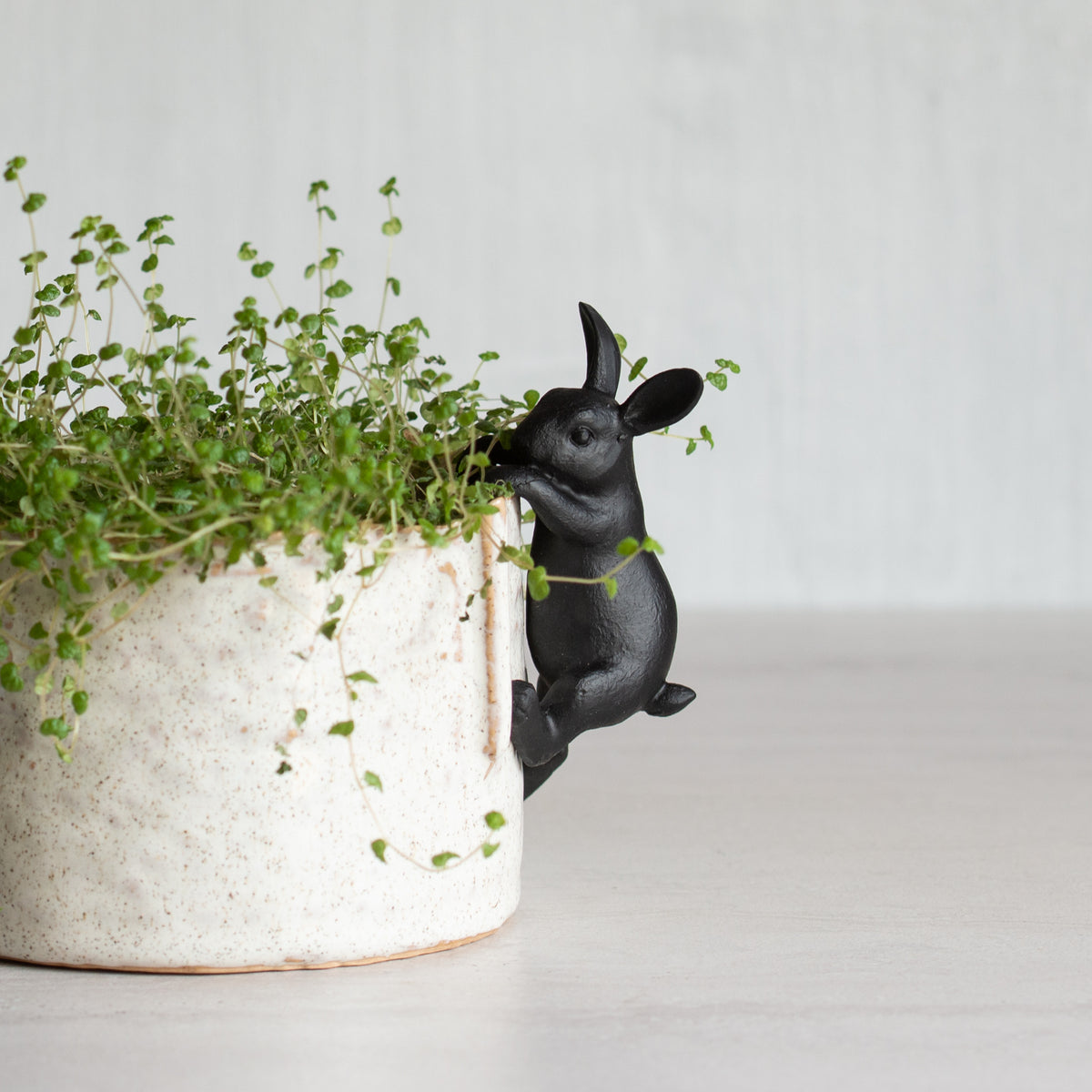 Rabbit Pot Ornament - Black